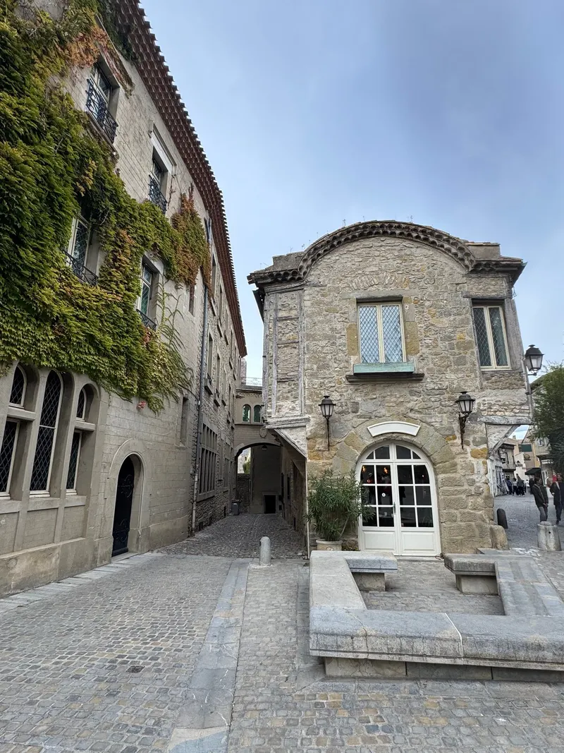 Buildings covered in ivy in Carcassonne, France