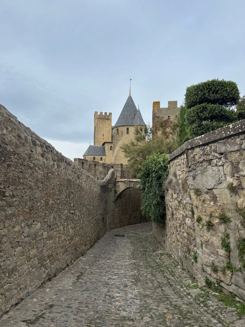 Cobblestone street inside Carcassonne's walled city with a pointed roof in the background