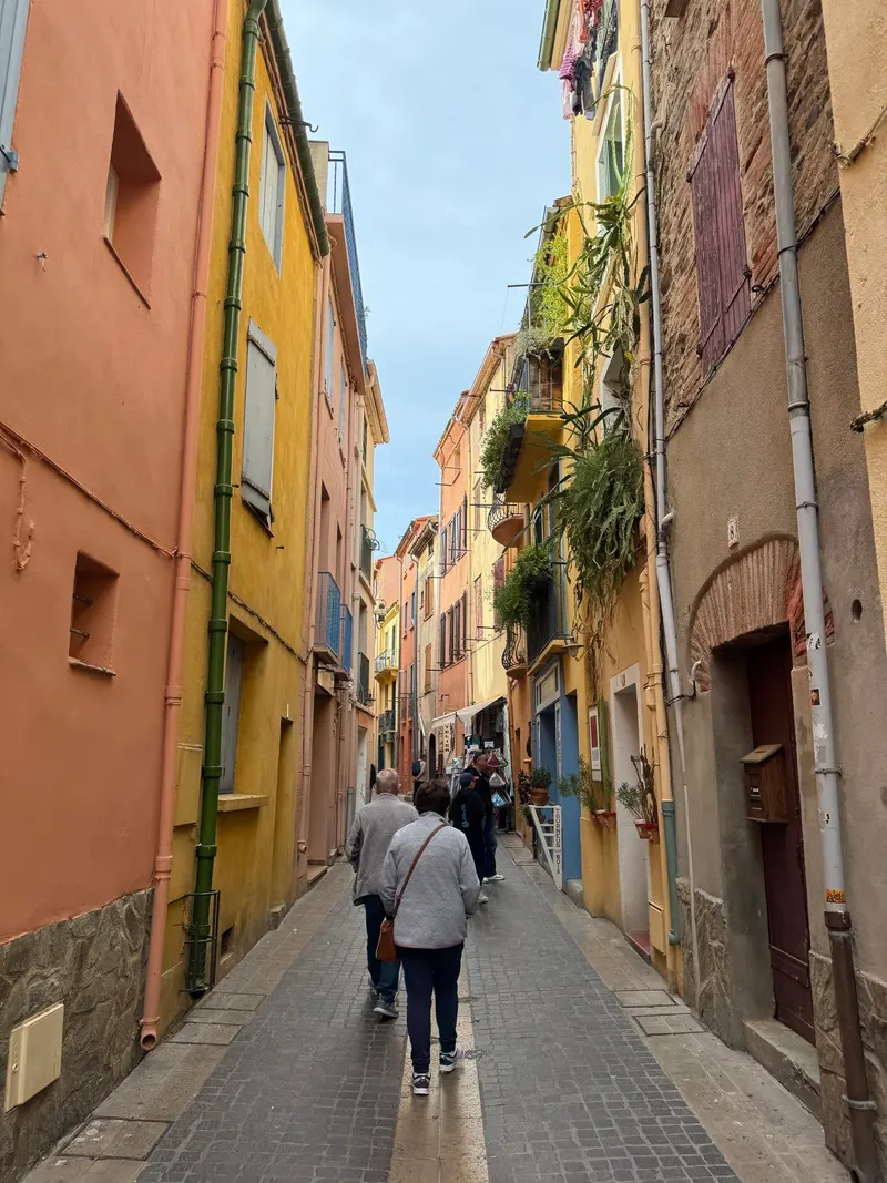 Colorful buildings in Collioure, France