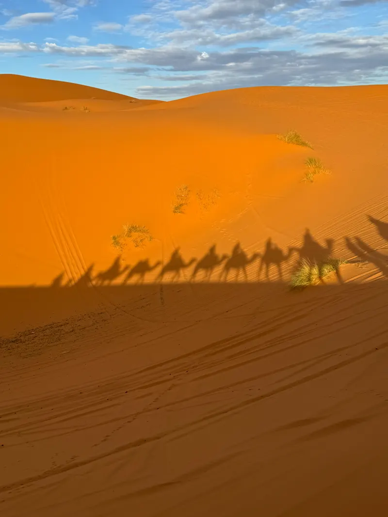 Shadow of camel riders at sunset in the Merzouga desert