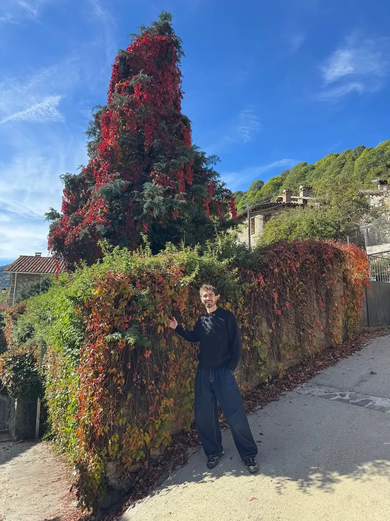 Bright red autumn bushes in Setcases, Catalonia