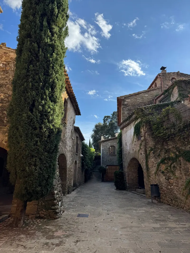 Stone houses in Monells with a cypress tree next to one of them
