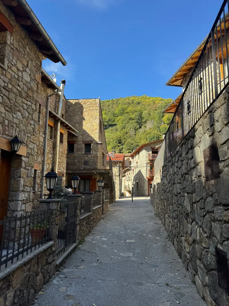 Stone houses along a street in Setcases