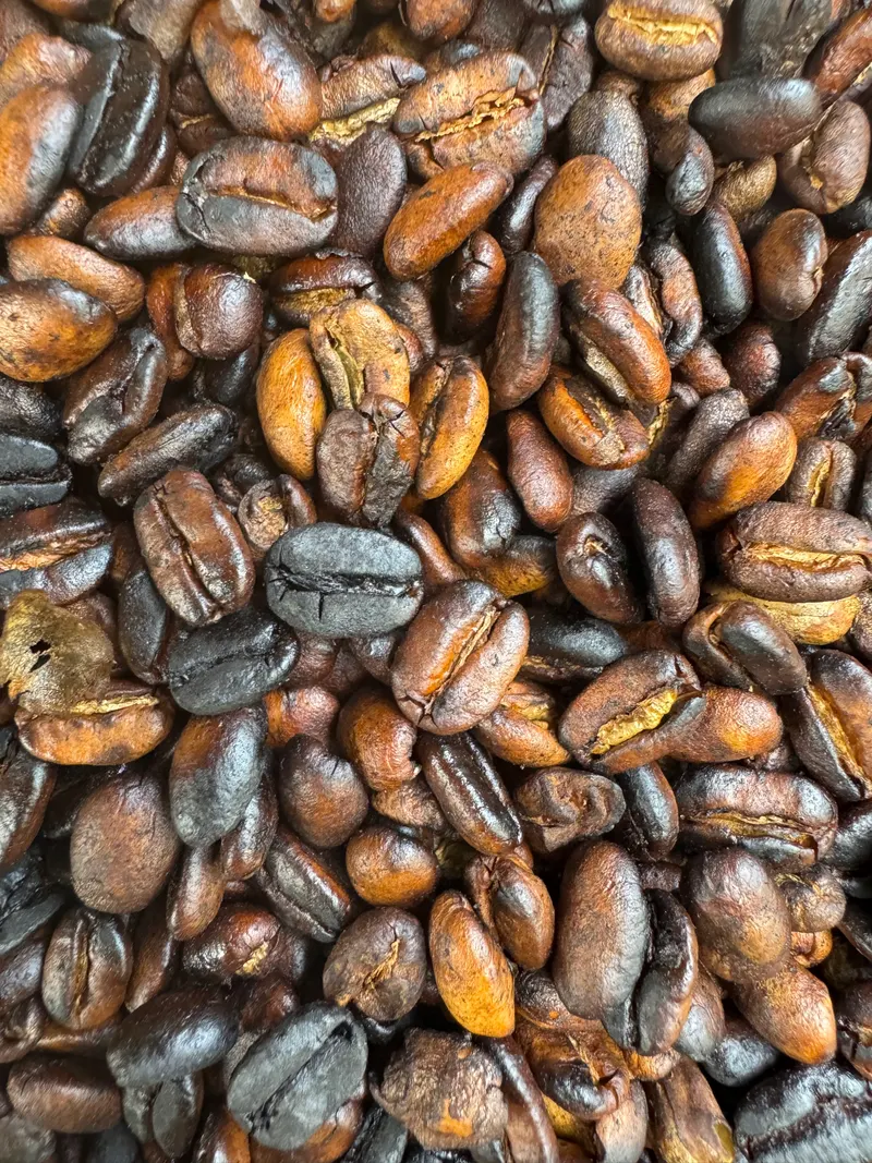 Freshly roasted coffee beans by Chaga people