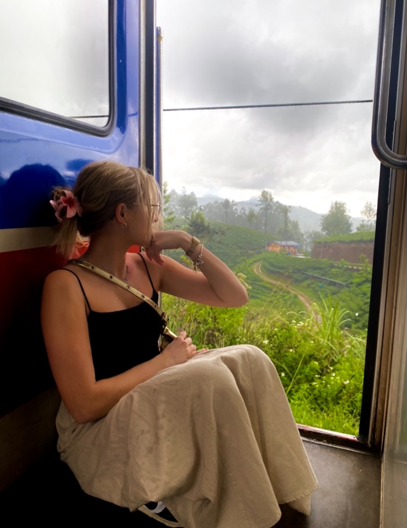 Views from Ella Train