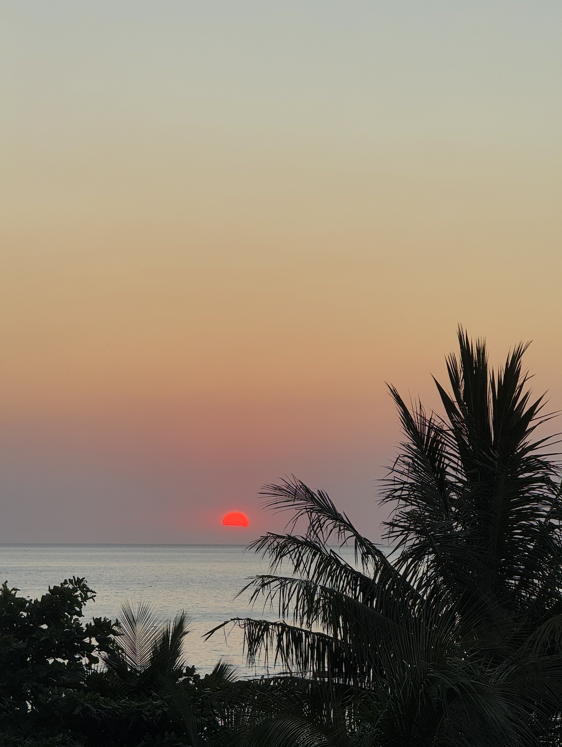 Beautiful sunset from Six Degrees South rooftop bar Stone Town Zanzibar