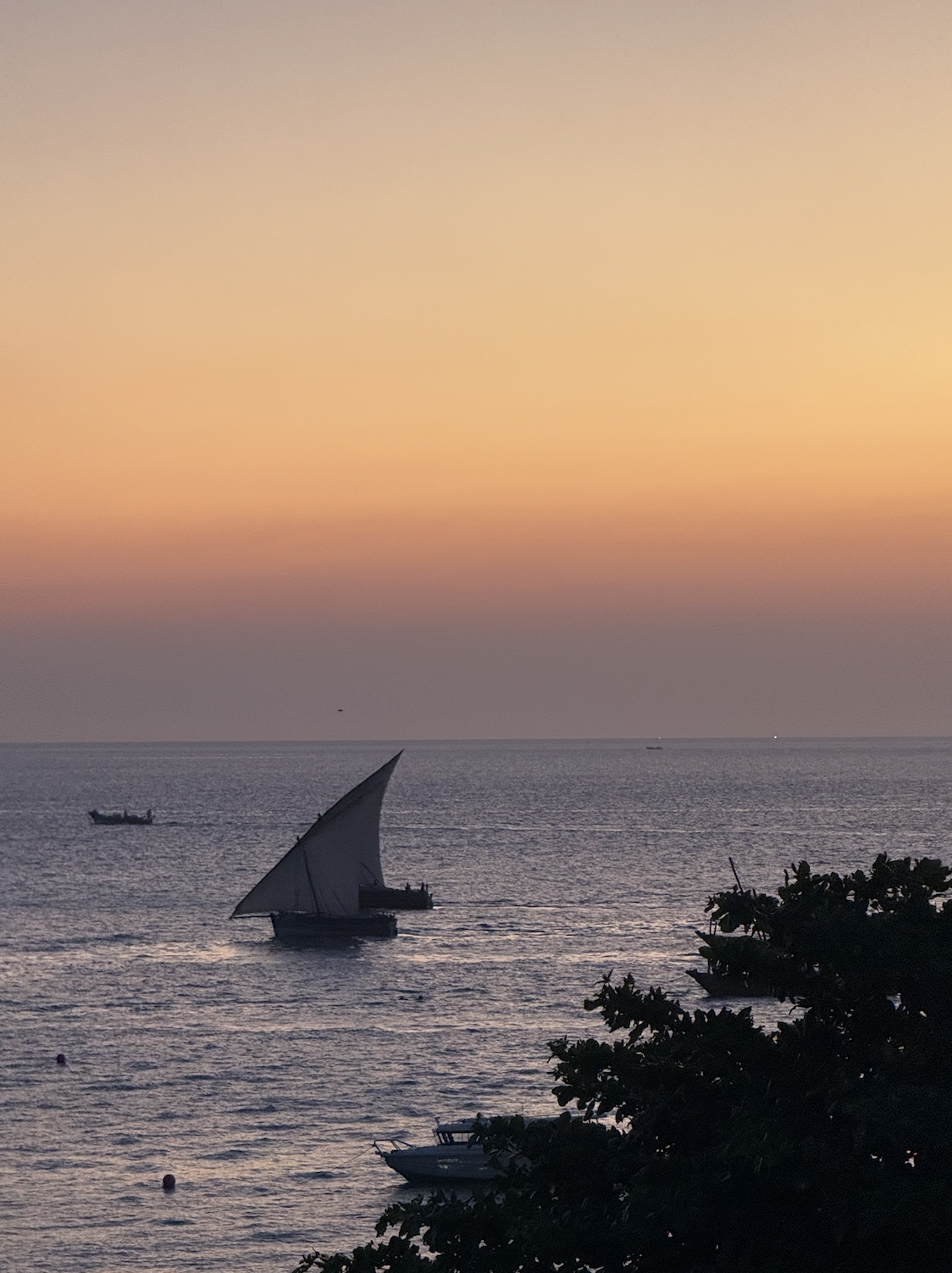 Stunning sunset with dhow traditional boats in the foreground Stone Town Zanzibar